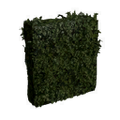 Thumbnail for version as of 04:14, 11 October 2015