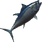 Bluefin Tuna