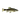 Minnow