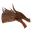Orange Dragon Head