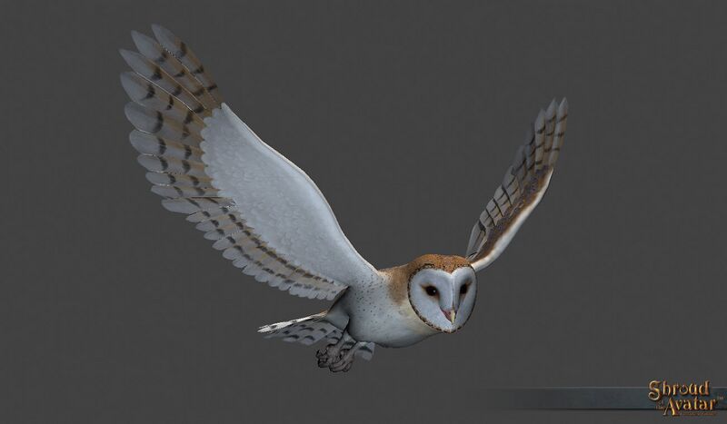 File:SotA Founder Citizen Owl Pet.jpg