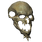 Lich Skull