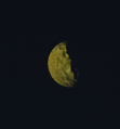 Despise (Temna) Orbital Body