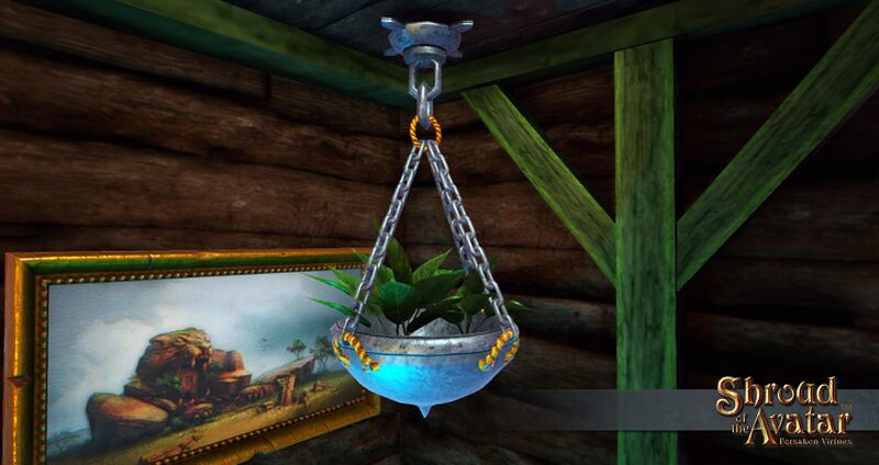 File:Sota-ornate-hanging-potted-sword-plant-upclose.jpg