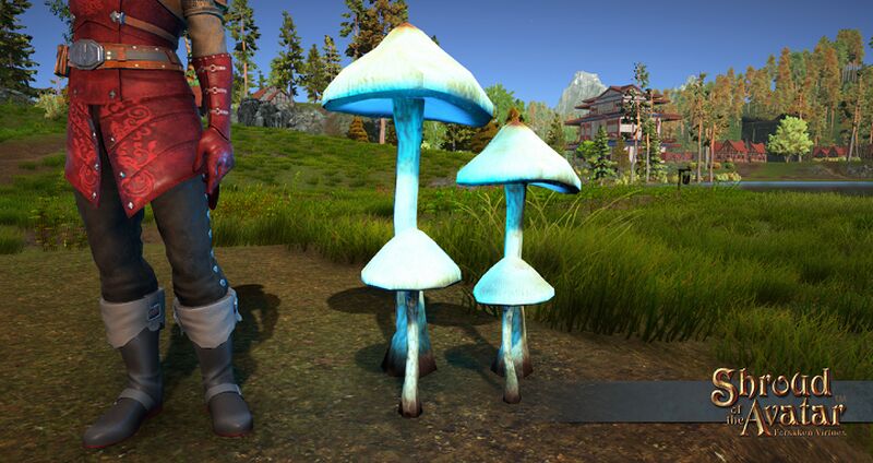 File:Sota glowing mushroom unpotted blue.jpg