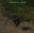 Thumbnail for version as of 12:49, 16 November 2024
