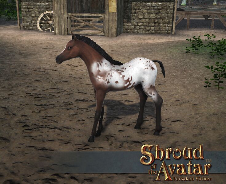 File:SS Stretchgoal Appaloosa Foal A.jpg
