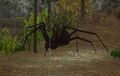 Thumbnail for version as of 02:00, 27 May 2021