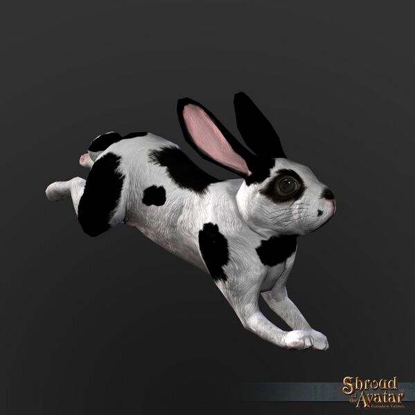File:SotA SpottedRabbit 2015.jpg