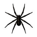 Thumbnail for version as of 17:57, 23 July 2020