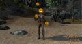 Thumbnail for version as of 04:31, 9 October 2016