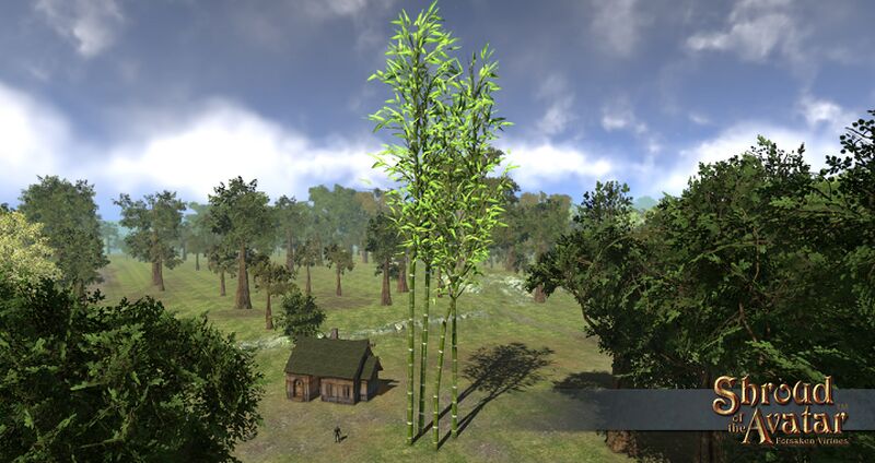 File:SotA EpicBambooTree.jpg