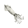 Thumbnail for version as of 20:16, 12 September 2019