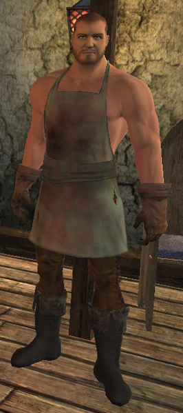 File:Innkeeper Flynn.png