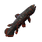 Coelacanth