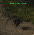 Thumbnail for version as of 12:43, 16 November 2024