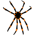 Thumbnail for version as of 05:14, 22 October 2017
