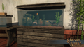 Thumbnail for version as of 00:32, 3 July 2023