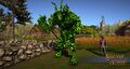 Thumbnail for version as of 15:11, 3 May 2017