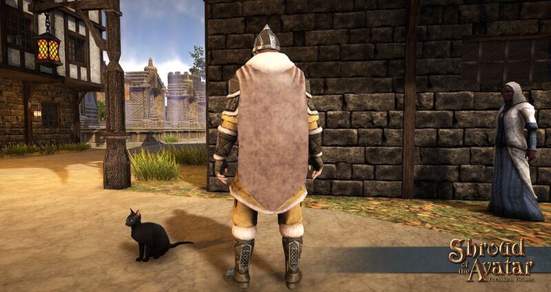 File:Sota-viking-guard-armor-back.jpg