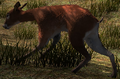 Thumbnail for version as of 06:42, 19 January 2017