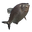 Pacu