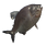 Pacu