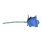 Blue Rose