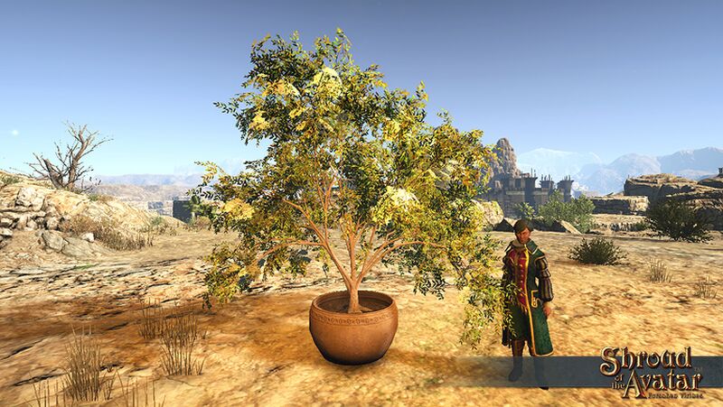 File:Item potted elderberry.jpg