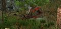 Thumbnail for version as of 22:48, 30 May 2021