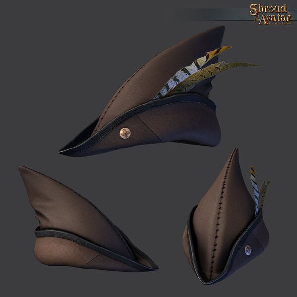 File:SotA Brown Bycocket Hat.jpg