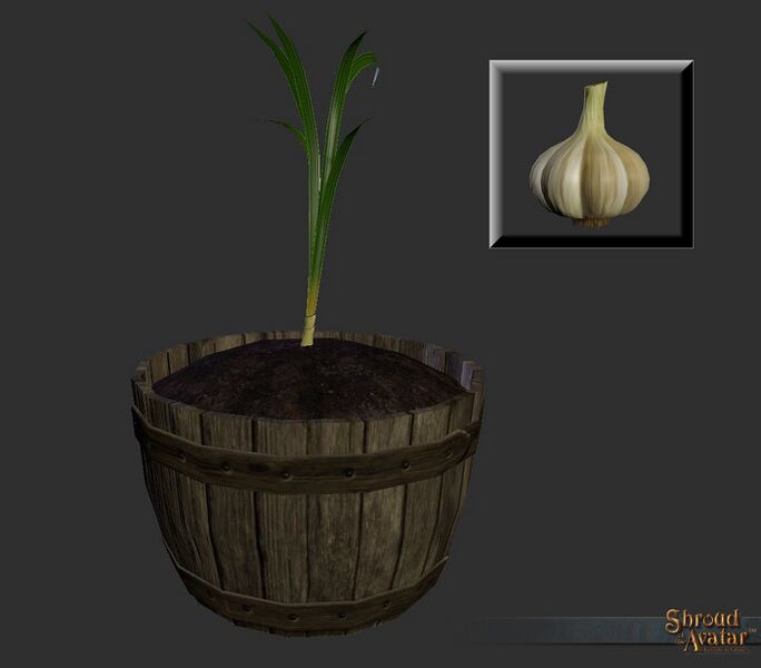 File:SotA Reagent Garlic.jpg