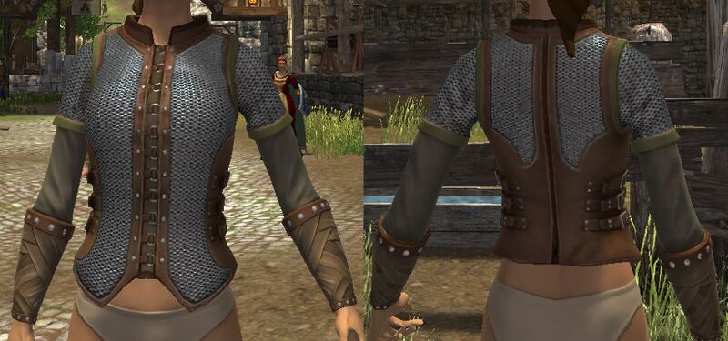 File:Iron chainmail chest armor.jpg