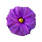 Nightshade