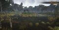 Large open areas covered in fallen logs, tall grasses, and low water can be found throughout the Norgard Fens.