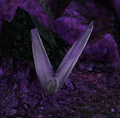 Thumbnail for version as of 20:11, 15 May 2021