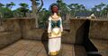 Ardoris priestess outfit (back)