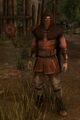 Older Image of Varren