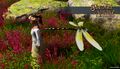Flower Crown and Giant Dragonfly Pet