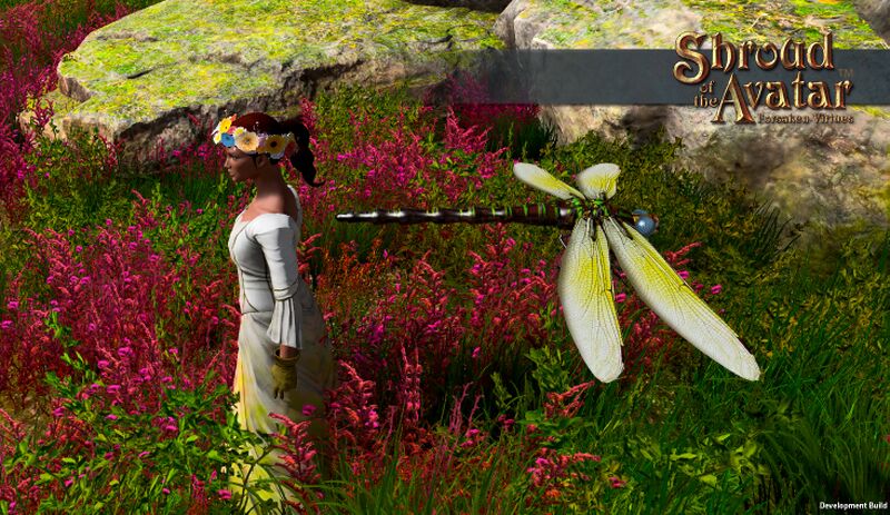 File:Dragonfly.jpg