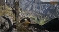 Thumbnail for version as of 21:06, 3 September 2017