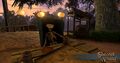 Scoundrel side of town, having a drink with the Pirate King