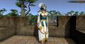 Ardoris priestess outfit (front)