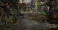 The Ruined Village & Graveyard