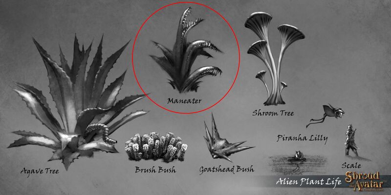 File:SotA FleshFlayer concept.jpg