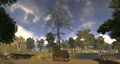 Thumbnail for version as of 19:37, 16 March 2017