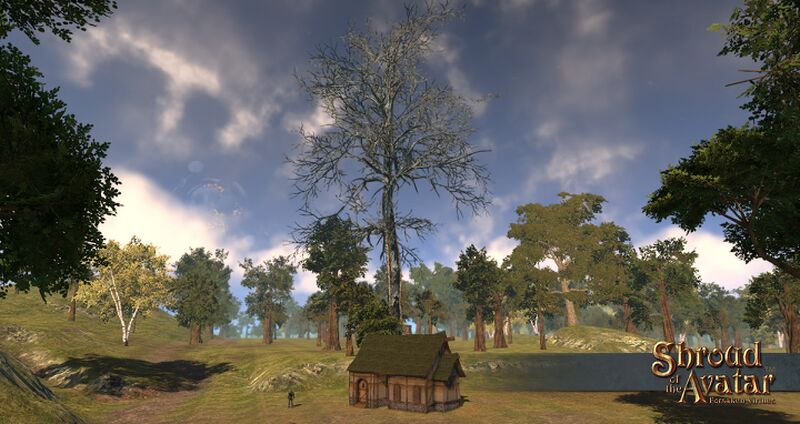 File:SotA EpicDeadTree.jpg