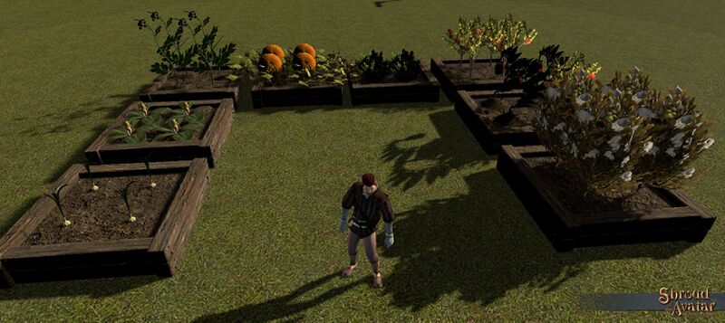 File:SotA Agriculture3.jpg