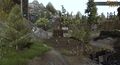 Highvale Village[2]