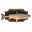 Mounted Salmon